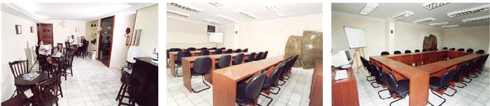 A chinese lion statue